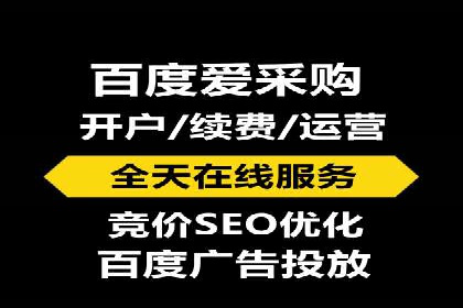 SEM广告投放中的数据监控与调整策略——以某品牌营销案例为例
